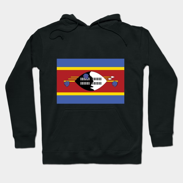 Swaziland Hoodie by Wickedcartoons